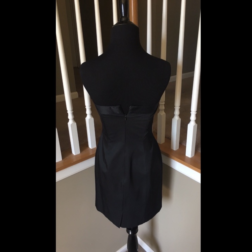 Express Dress - Picture 3 of 4